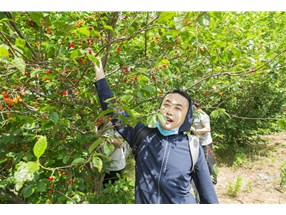 北方微波春季团建活动圆满成功